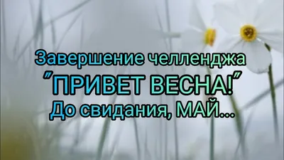 Стенгазета «До свидания, Весна, здравствуй, женственное Лето!» (4 фото).  Воспитателям детских садов, школьным учителям и педагогам - Маам.ру