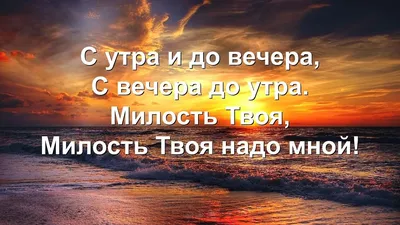 Самые смешные анекдоты с утра до вечера купить с доставкой в  интернет-магазине | 