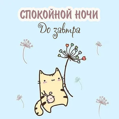 Книга «До завтра. На сноуборде с Эвереста. Жизнь и исчезновение Марко  Сиффреди» - купить в магазине Спорт-Марафон с доставкой по России