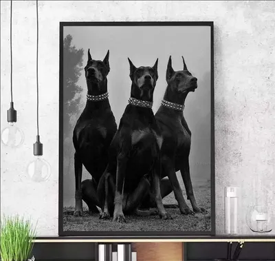 Черно-белый модный автомобиль Doberman, эстетическое настенное искусство,  Картина на холсте, скандинавские постеры и искусства для декора гостиной |  AliExpress