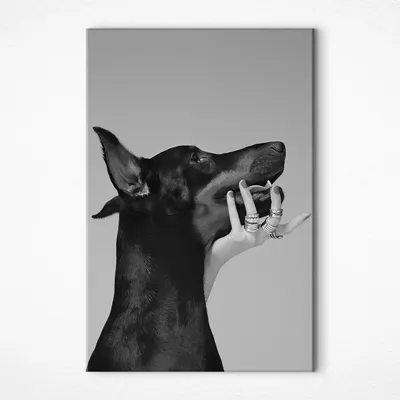 Черно-белый модный автомобиль Doberman, эстетическое настенное искусство,  Картина на холсте, скандинавские постеры и искусства для декора гостиной |  AliExpress