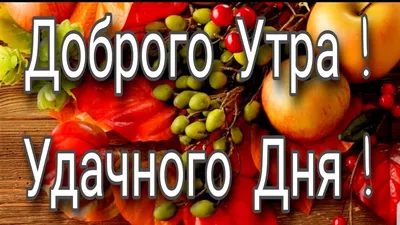 Картинки с пожеланием доброго утра и удачного дня (534 шт.)