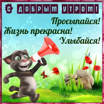 Бессовестно счастливая on Twitter: "Добренькое утречко!!!  /9JnTVwVeWv" / Twitter