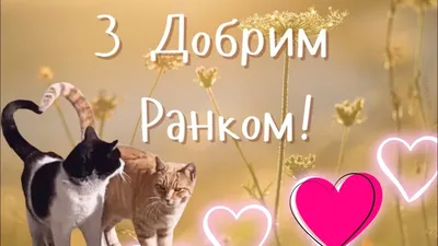 Доброго ранку коханий мій - YouTube