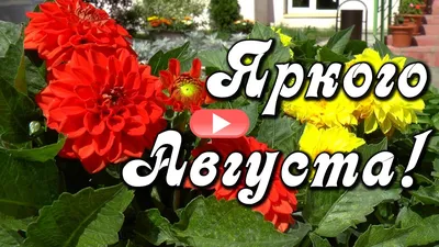 Картинки доброе августовское утро (60 шт.)