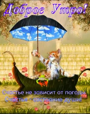 Лучшие идеи (11) доски «Дождливое утро» | дождливое утро, счастливые  картинки, осенние картинки