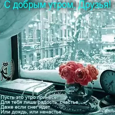 Идеи на тему «Доброе дождливое утро!» (190) | дождливое утро, доброе утро,  открытки