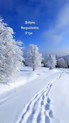 Картинки доброе февральское утро - уникальная коллекция