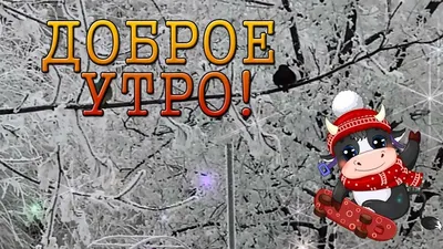 Красивые картинки "Доброго утра!" в январе - уникальная коллекция