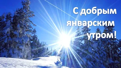 Доброе январское утро!.