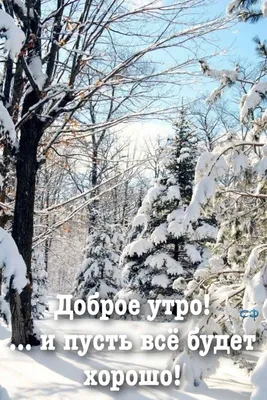 Январское утро - 70 фото