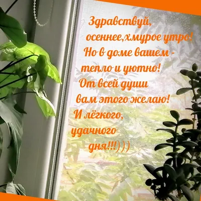 Овечном.. 😂Чтоб даже самым хмурым утром улыбнуться, просто подумайте  овечном.. Доброе утро😘 #booandstu | Вдохновляющие фразы, Веселые мысли,  Христианские цитаты