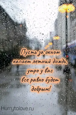 Импресс / Кружка "Утро доброе, а я нет", кот, британец, кофе, прикол,  посуда для дома, подарок Импресс 13774311 купить в интернет-магазине  Wildberries