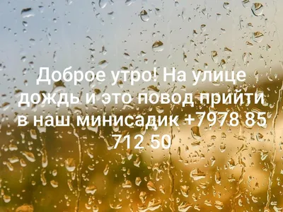 Идеи на тему «Доброе утро» (310) в 2023 г | доброе утро, открытки,  счастливые картинки