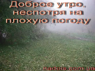 Пожелание доброго утра в дождливую погоду - 78 фото