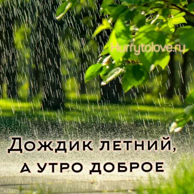 Идеи на тему «Доброе дождливое утро!» (190) в 2023 г | дождливое утро, доброе  утро, открытки