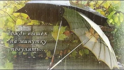 Дождь открытки (59 лучших фото)