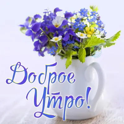 Летнее Утро доброе! 🍃🌼🌿 | Доброе утро, Открытки, Картинки