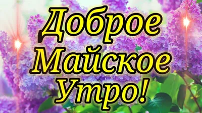 Пожелания доброго Майского утра скачать