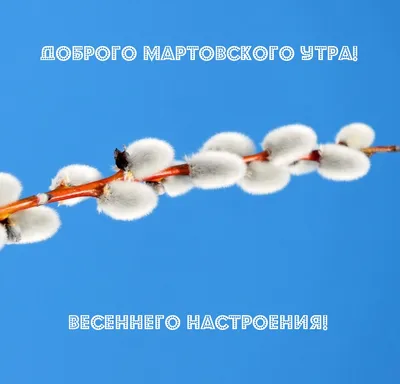 Идеи на тему «Пятница. Доброе утро.» (98) в 2023 г | доброе утро, утро  пятницы, счастливая пятница