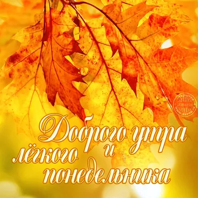 Доброе утро!🍁🍁🍁 | Доброе утро, Цитаты для поднятия настроения, С днем  рождения