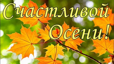 Красивые открытки "Доброго осеннего утра!" (403 шт.)