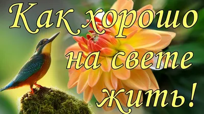 Красивые открытки "Доброго осеннего утра!" (403 шт.)