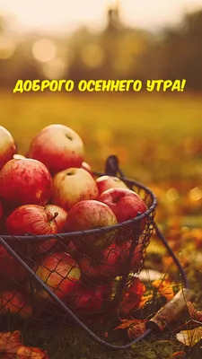 Красивые картинки "Доброе осеннее утро!" (382 шт.)