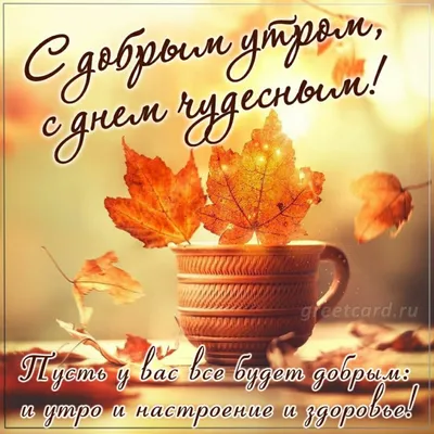 Доброй осенней Пятницы Вам! 🌞✨🍁🤗🍂✨ | Доброе утро, Смешные открытки,  Милые открытки