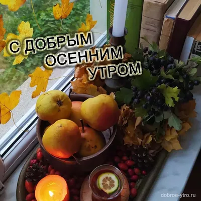 Картинки "Доброе осеннее утро" (997 шт.)