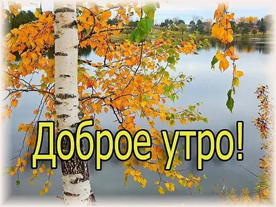 🍃🌸🍌🍊🍌🌸🌿 ВТОРНИК! | Доброе утро, Утро вторника, Вторник