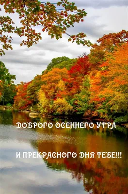 Доброе осеннее утро! ... - Удивительная природа | Facebook