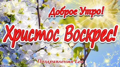 Пин от пользователя Елена Чернухина на доске доброе утро в 2023 г | Пасха,  Праздник, Пасхальная открытка