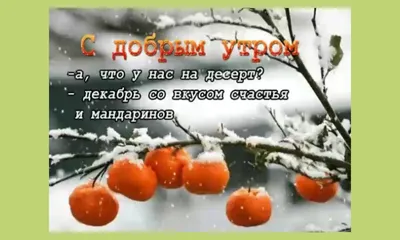 С Добрым Утром и Хорошим Днем 5 мая! Открытка / Доброе утро с Пожеланием  Отличного Настроения - YouTube