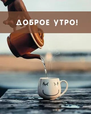 Доброе рабочее утро!🕊🌿 Среда - середина рабочей недели. Есть идеи, как  провести выходные? Накидайте в комментариях 🙌 | Instagram