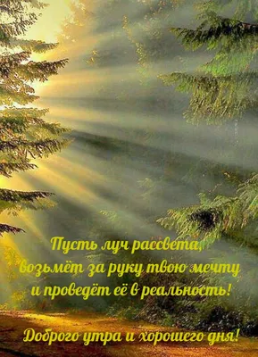 Раннее утро, солнышко встало. "Доброе утро!"- мне прошептало... :: Татьяна  Смоляниченко – Социальная сеть ФотоКто