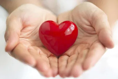 Проект «Доброе сердце» приглашает череповчан к сотрудничеству