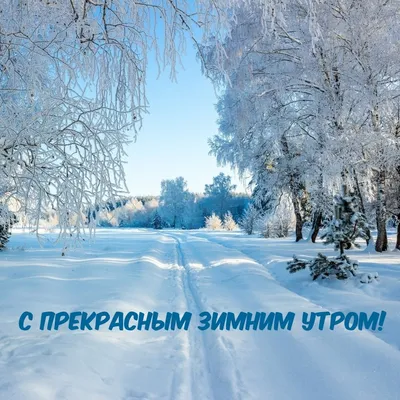 Картинки доброе снежное утро - 81 фото