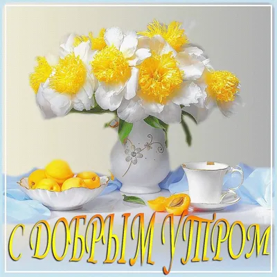 KRONOS GYM: Доброго солнечного утра, Друзья! на Кушва-онлайн.ру