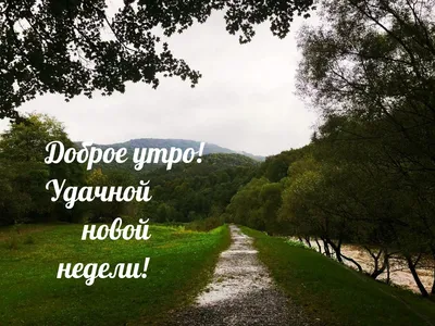 Доброе утро!!! ☀️☀️☀️☀️☀️Мое утро очень солнечное и тёплое. А ещё спортивное.  Я опять на велосипеде 🚴🚴🚴Прекрасного всем дня и улыбок.😊😊😊😊… |  Instagram