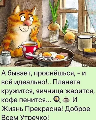 Прикольные картинки: "Доброе Утро!" (526 шт.)