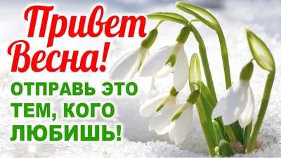 1 Марта! | Spring flowers, Flowers, Garden