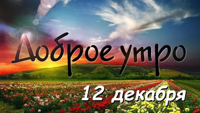 Доброе утро наш декабрь! (Светлана Патрушева-Чабулова) / Стихи.ру