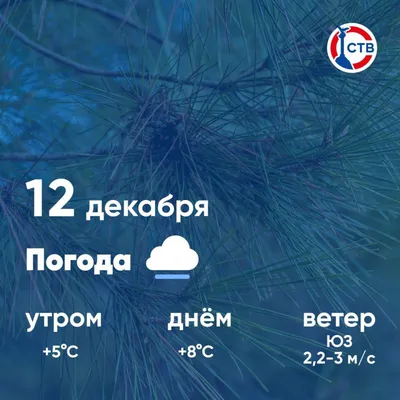 Доброе утро, севастопольцы! Сегодня, 12 декабря, в городе небольшой дождь -  Лента новостей Севастополя