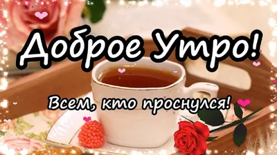 Бусинка - ❣ДОБРОЕ УТРО, МОИ ДОРОГИЕ БУСИНКИ❣🌞⚘ 🛍Магазин детской одежды  Бусинка 🌍Ул. П. Орлика (9 января), 15 #магазин #детскаяодежда #бусинка  #красиваяодежда #купить #дети #счастье #комбинезон #костюм #мальчик  #новорожденный #девочка #зима ...