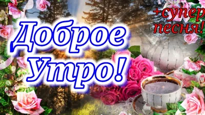 Доброе утро 20 января #53