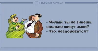 Доброе утро, Киров! 26 января: Бриллиантовый Борис Гребенщиков и  гоголевские женихи