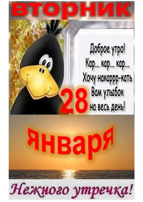 Идеи на тему «Доброе утро» (530) | доброе утро, открытки, изображения дня  рождения