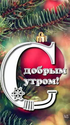 С Добрым Утром Пятницы! 3 НОЯБРЯ. #утренниепожелания #видеопожеланиесд... |  TikTok