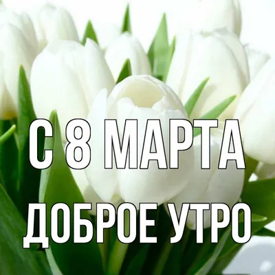 Поздравления с праздником 8 марта - Вязание - Страна Мам | Цветы на  рождение, Праздник, Доброе утро